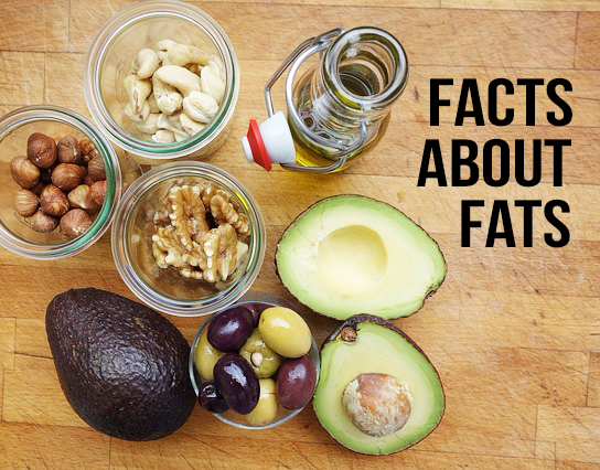Facts About Fats