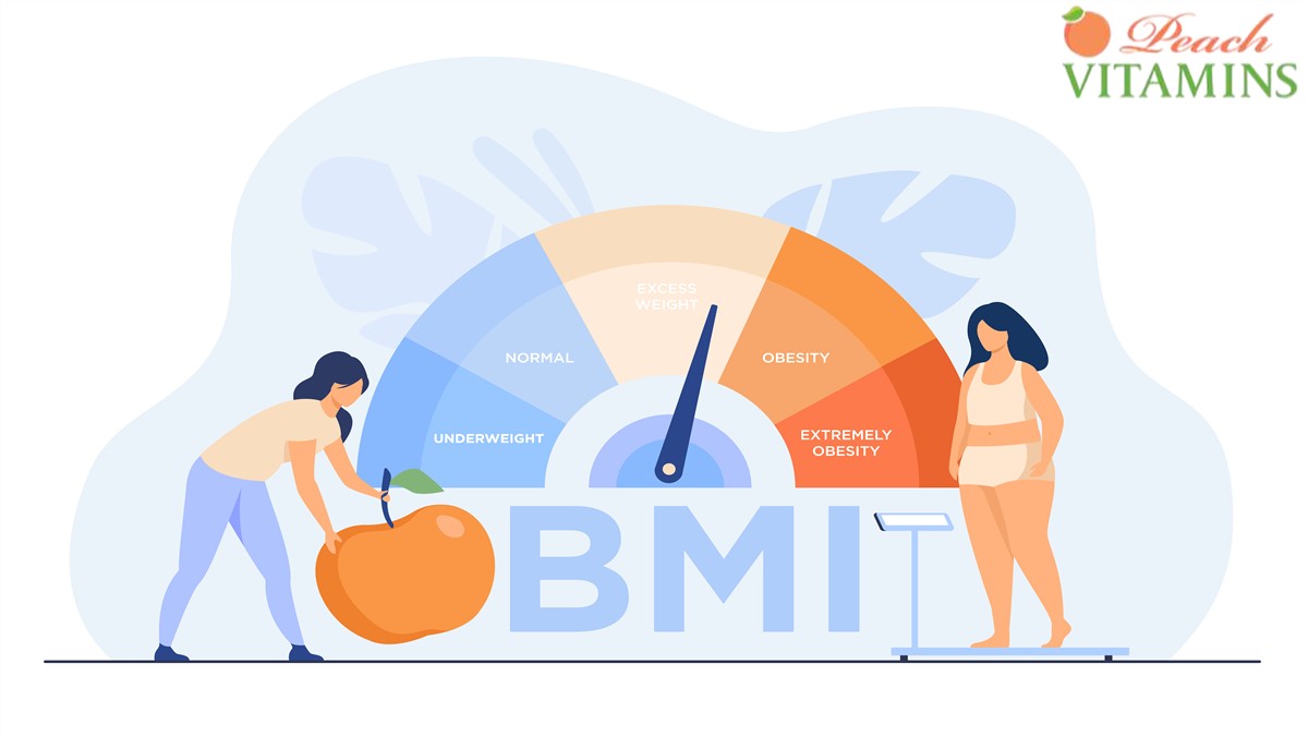 Safflower Oil Weight Reduction Belly Fat Transformation 2024