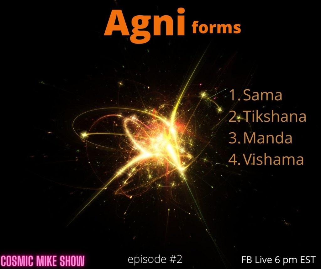 Agni Digestive Fire - Agni Digestive Fire Macro Digestion Micro Digestion