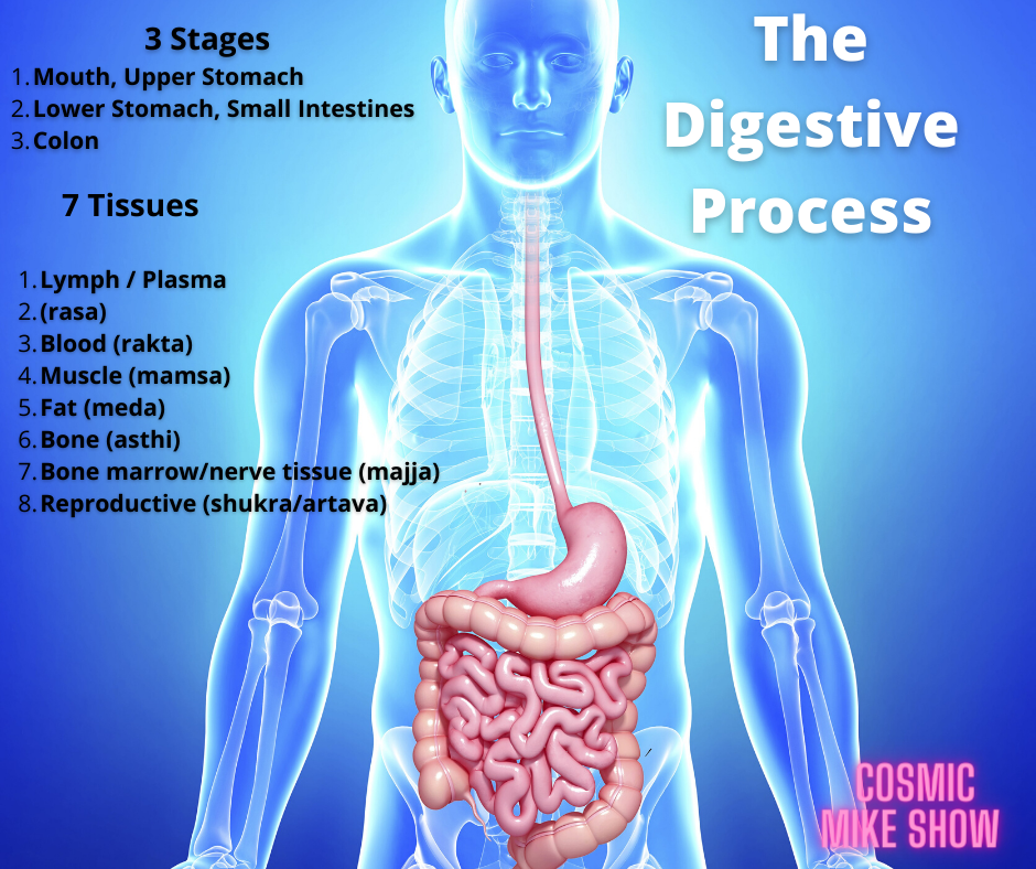 How To Improve Digestion – Reduce Belly Bloating In 2022: Strong Tips To Improve Digestion + Reduce Bloating